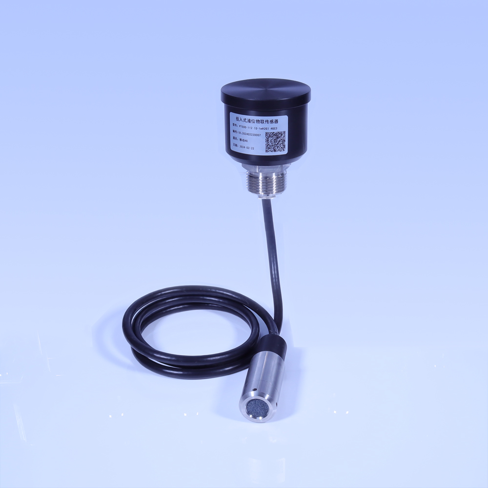 投入式液位物聯(lián)傳感器 PT500-112