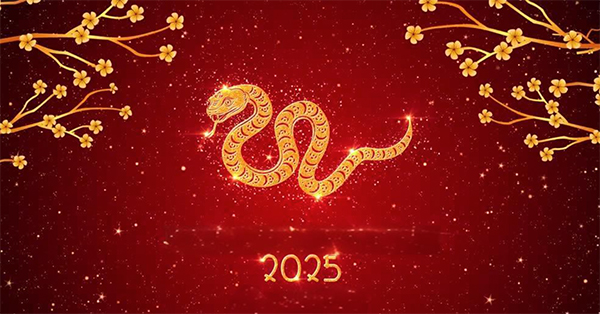 普量2025年春節(jié)放假通知